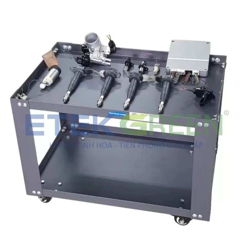 Các bộ phận tháo rời của hệ thống phun xăng điện tử ETEK GREEN